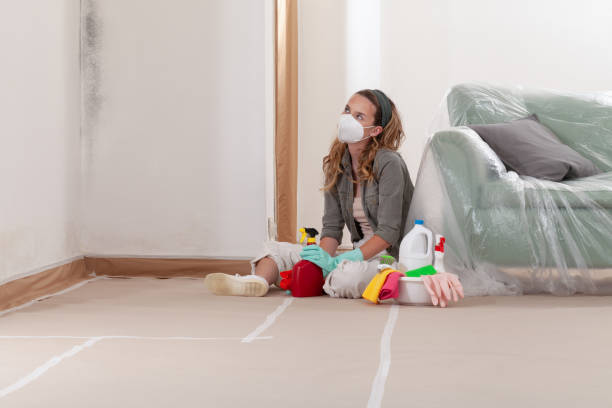Reliable Mold Testing contractor in Greensboro, MD by WQB Mold Removal
